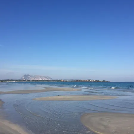 Hotel Al Faro , Spiaggia La Cinta ,San Teodoro Hotel