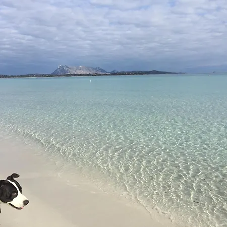 Hotel Al Faro , Spiaggia La Cinta ,San Teodoro Hotel 3*