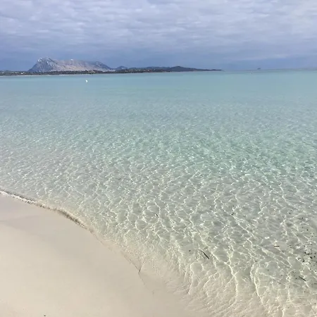 Hotel Al Faro , Spiaggia La Cinta ,San Teodoro 호텔 3*