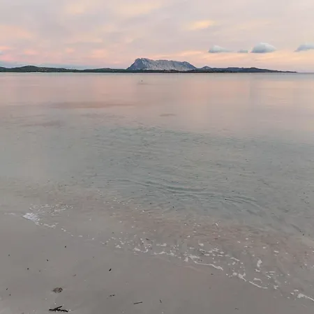 Hotel Al Faro , Spiaggia La Cinta ,San Teodoro 3*