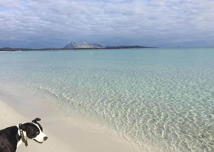 Al Faro , La Cinta ,san Teodoro Ξενοδοχείο 3*