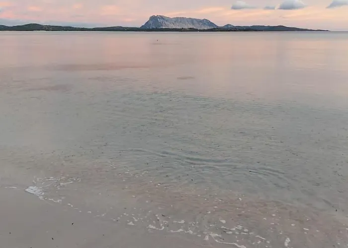 Al Faro , La Cinta ,san Teodoro 3*